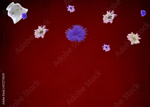 Spring flowers floating on a red background © CJH Photography ::C