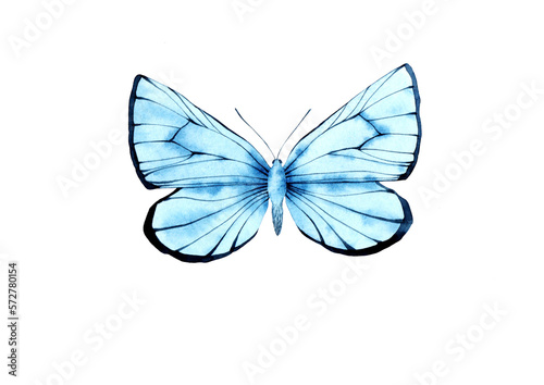 A delicate blue butterfly. Watercolor illustration.