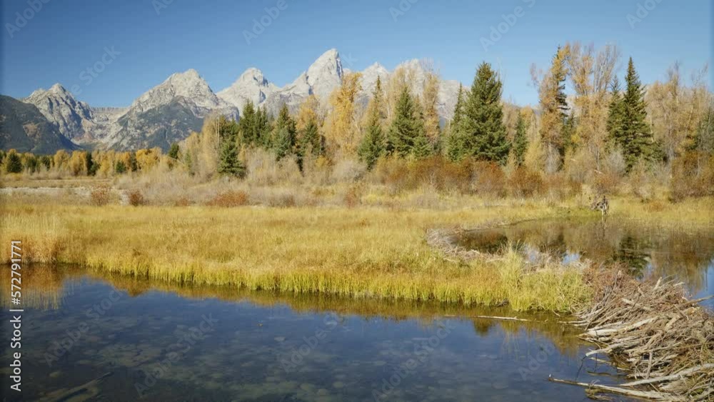 Grand Tetons Autumn Forest And Stream