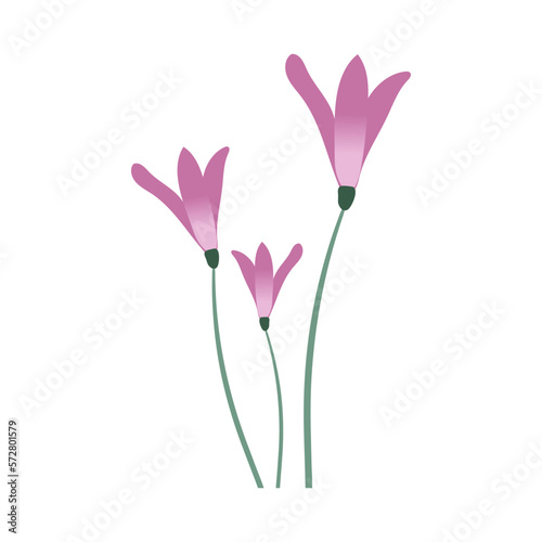 Delicate bell flowers. Lilac blooming spring flowers. Beautiful flowers in a flat style. Botanical theme with white isolated background. Flowers for prints, posters, banners.