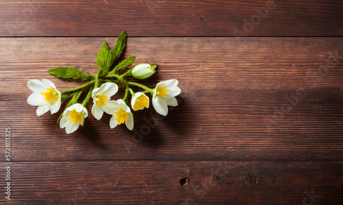 Spring flower blossoms on wood background. Flat lay. Top view. Backdrop with large copy space. Generative AI