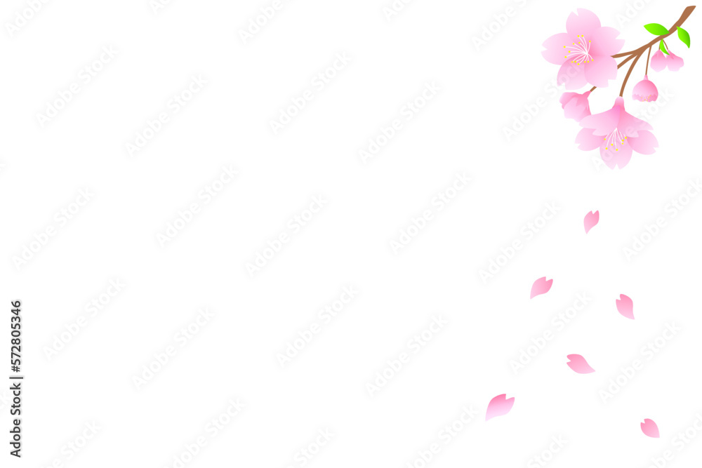 桜と舞い散る花びら。春のコンセプト。