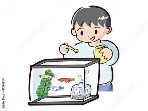 メダカのお世話をする男の子（エサやり）