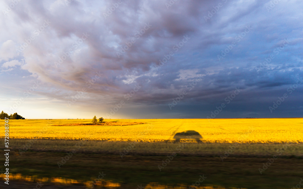 Shadow of a car driving on highway on a bright yellow agricultural field lit up by setting low sun with dramatic sky with dark clouds above