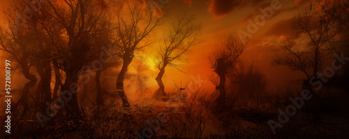 Creepy landscape showing dark swamp and flooded forest at summer sunset in orange colors