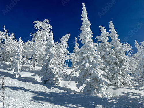 Snow in Steamboat Springs, Colorado photo