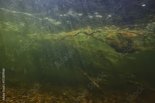 Fototapeta Naklejka Na Ścianę i Meble -  underwater fresh water green background with sun rays under, water