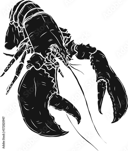 Lobster hand drawing on white background.png file.