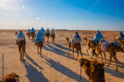 Camels caravan going in sahara desert in Tunisia, Africa
