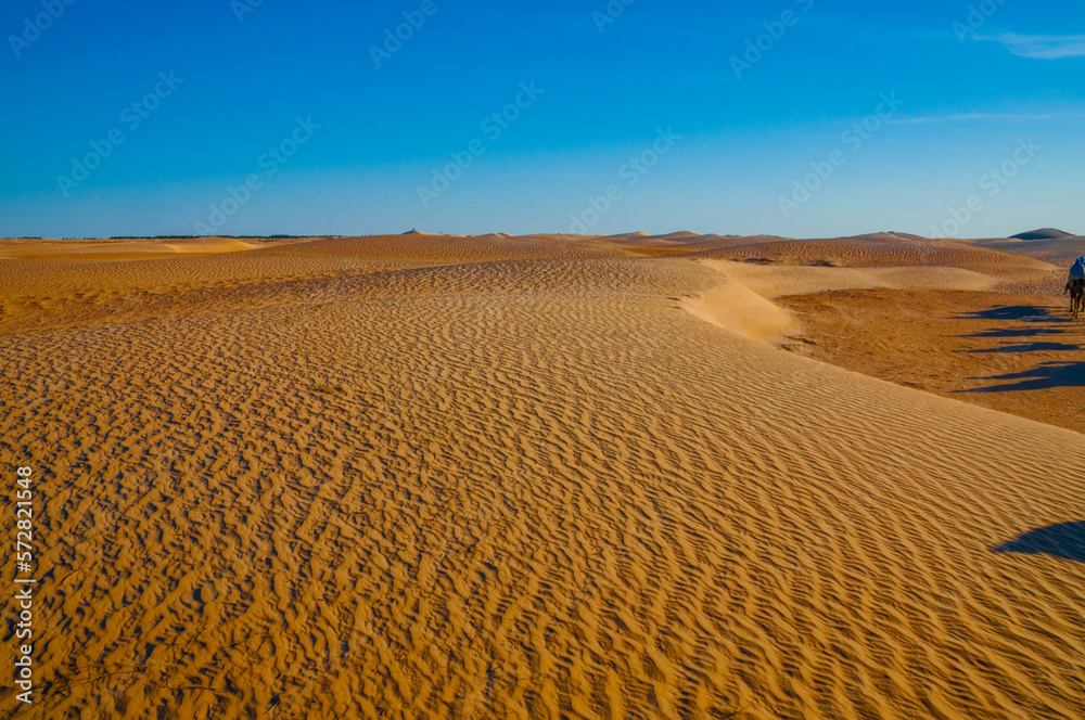 Naklejka premium Beautiful sand dunes in the Sahara desert in Tunisia