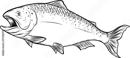 Wallpaper Mural Salmon art highly detailed in line art style.Fish png by hand drawing. Torontodigital.ca