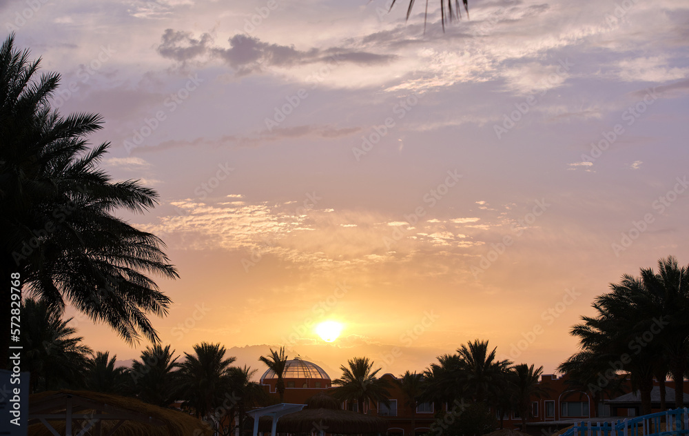 Obraz premium Beautiful green coconut palm trees on tropical beach against evening sky. Summer vacation concept