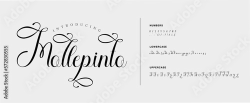 Wedding luxury alphabet letters font. Decorative typography elegant classic lettering serif fonts and number vintage retro with tails. vector illustration