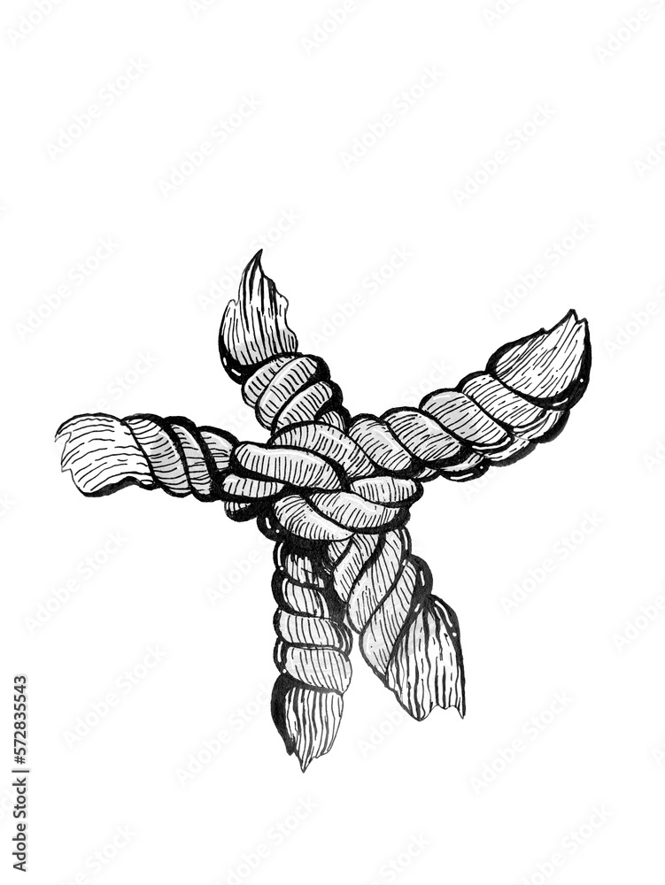 Inking Rope Ink rope knot hand drawing isolated on white background Stock ...