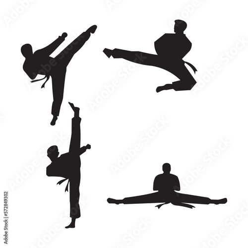 Taekwondo Vector icon design illustration 