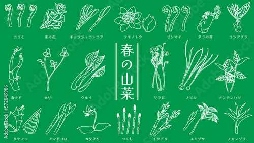 春の山菜のベクター線画イラストセット
Japanese wild vegetables. Vector line drawings set.