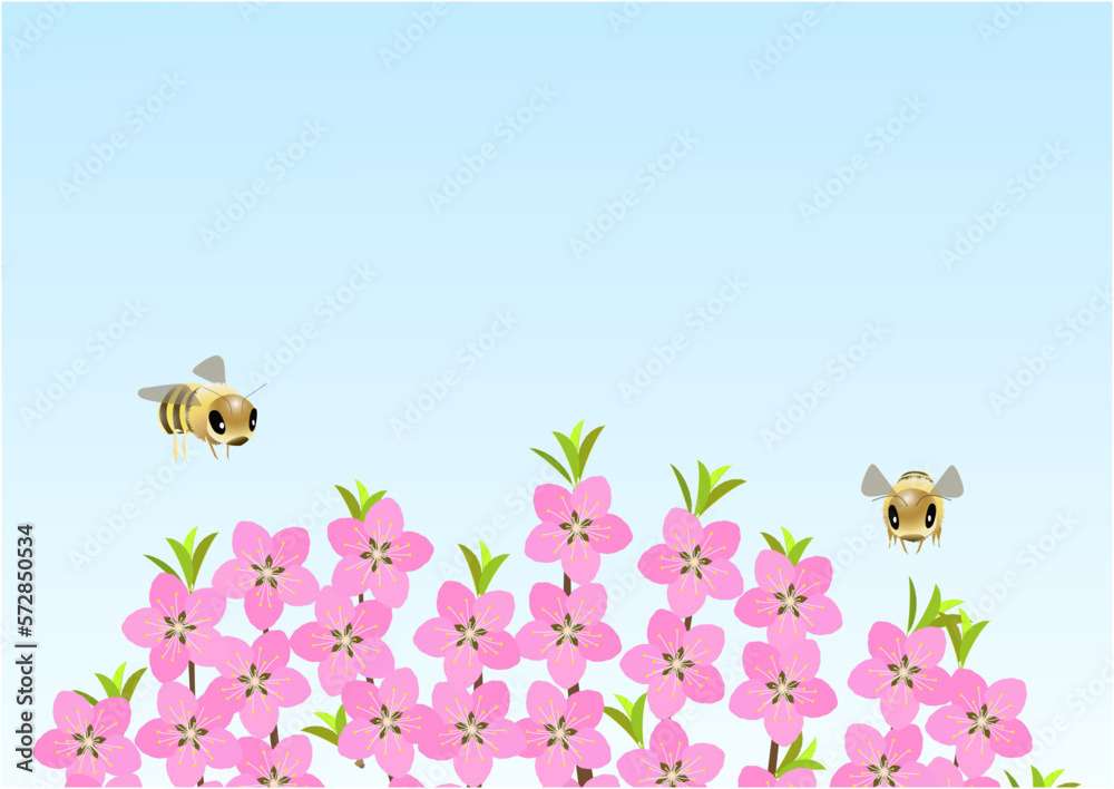 Fototapeta premium Blooming peach tree crown and bees