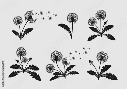 Set of hand drawn dandelion flowers silhouettes