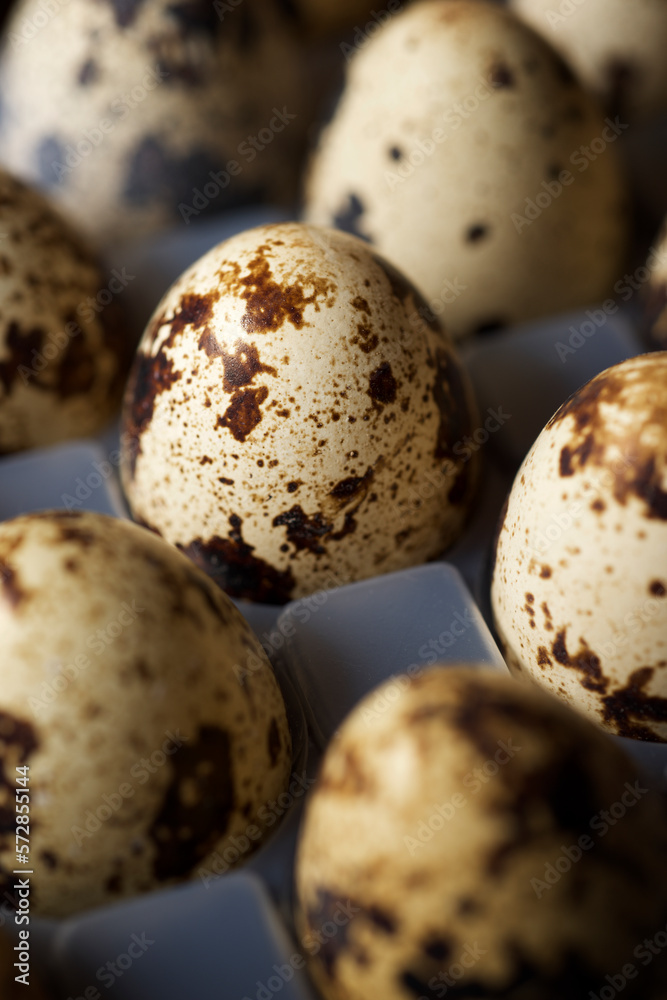 Quail eggs in a plastic box. Quail eggs in a plastic box.