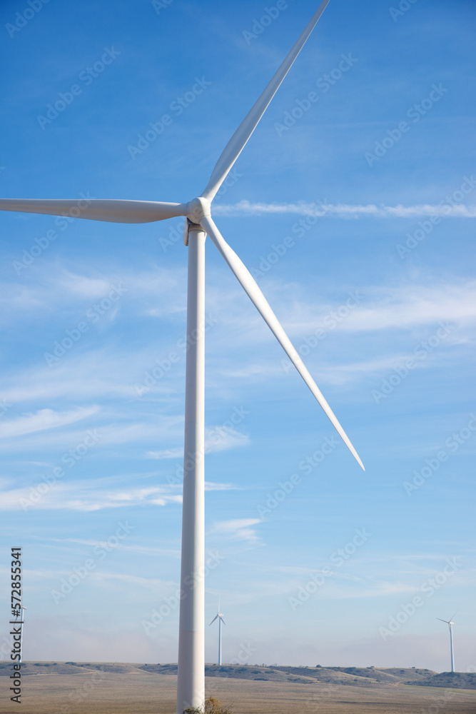 Fototapeta premium Wind turbines for sustainable electric energy production in Spain.