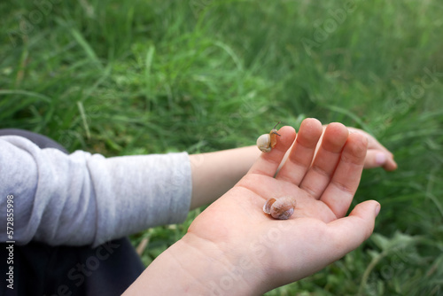 Two snails in child's hands outdoors closeup