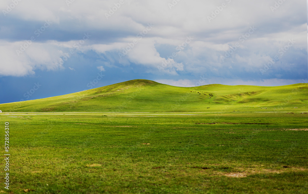 Scenery on the grassland