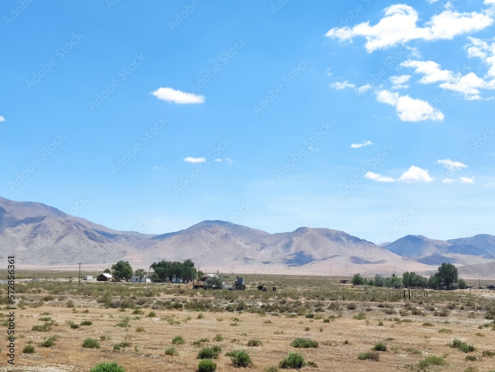 landscape in the desert