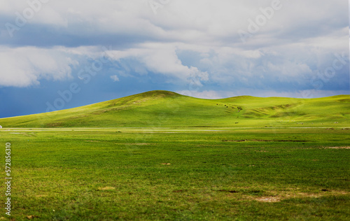 Scenery on the grassland © wwwoop