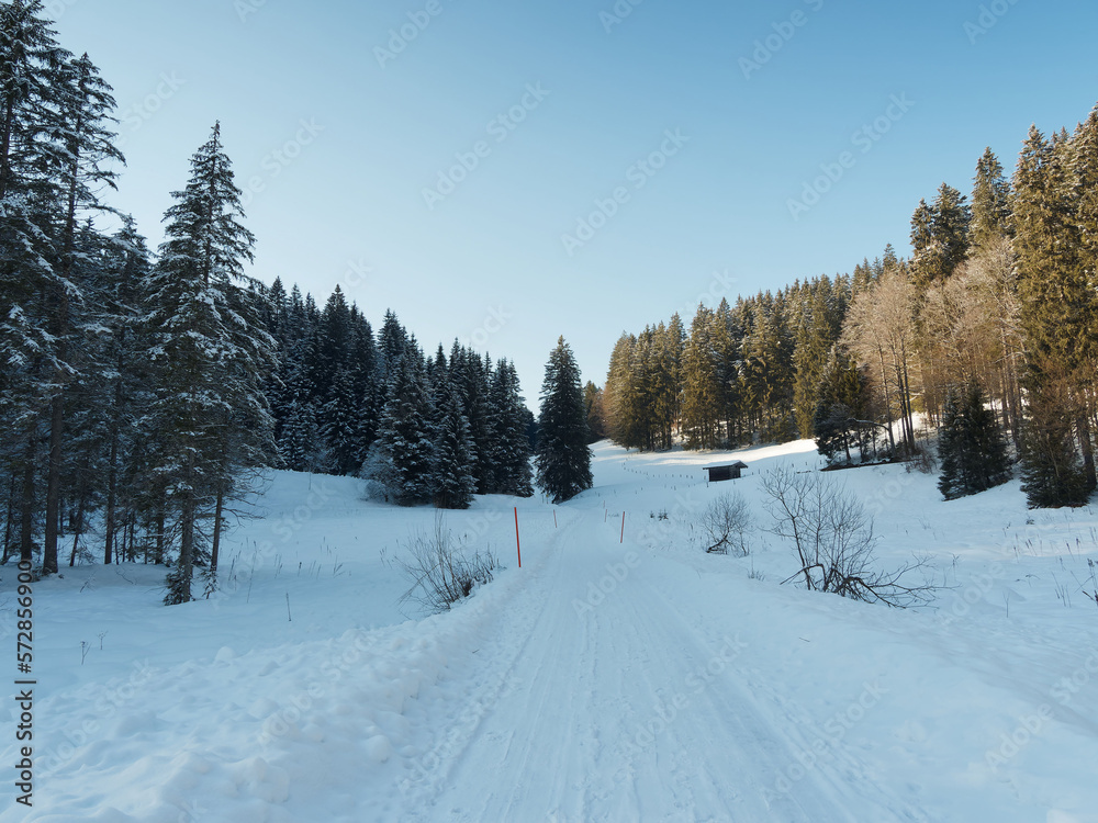 Obraz premium Bayerische Berglandschaften in Winter. Suttengebiet am oberen Ende des Tals der Rottach richtung Valepp mit verschneite Piste in mitten eines Tannenwaldes 