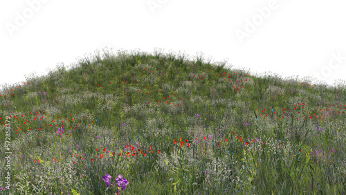 春の草原 花咲く草原 春の花咲く草原 透過png	