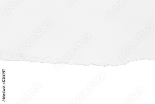 Torn white paper with shadow. Isolated