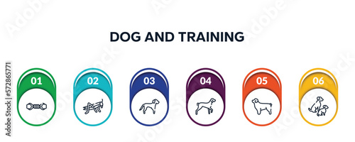dog and training outline icons with infographic template. thin line icons such as pet toy, locust, springer spaniel, kurzhaar, newfoundland, dog and doggie vector.