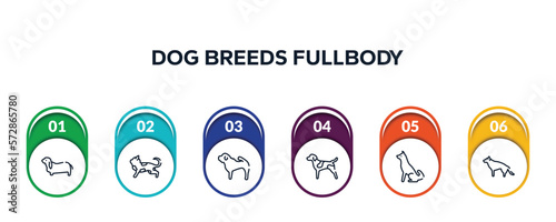 dog breeds fullbody outline icons with infographic template. thin line icons such as bas hound, toyger cat, shar pei, german shorthaired pointer, akitas, german sheperd vector.