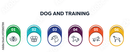 dog and training outline icons with infographic template. thin line icons such as null, dog moustache, dog licking, scold the bulterrier, greyhound vector.