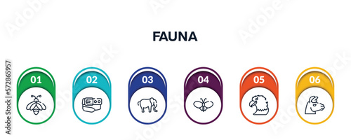 fauna outline icons with infographic template. thin line icons such as big bee, belt and buckle, elephant alone, plain butterfly, eagle head, lama head vector.