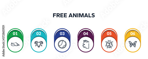 free animals outline icons with infographic template. thin line icons such as seashell conch, ram, tennis ball, cat head, spots ladybug, butterfly wings vector.