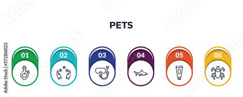 pets outline icons with infographic template. thin line icons such as cider, juggling, snorkel, sharks, sun lotion, insect vector.