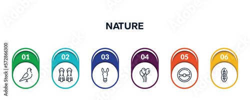 nature outline icons with infographic template. thin line icons such as pigeon, flippers, donkey, balloons, steering wheel, plankton vector.