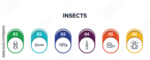 insects outline icons with infographic template. thin line icons such as bikini, torch, badger, bullets, cloudy, antlion vector.