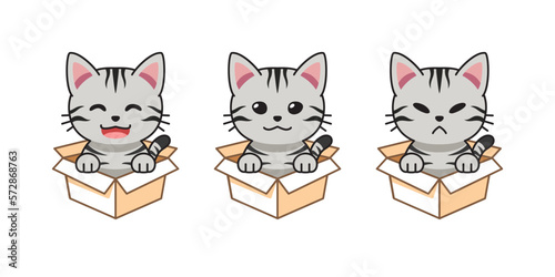 Vector cartoon illustration set of american shorthair cat showing different emotions in cardboard boxes for design.
