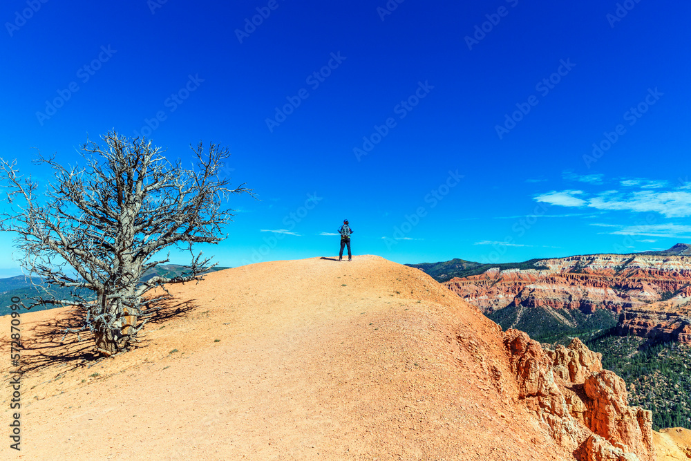 Scenic view of Cedar Breaks National Monument, a U.S. National Monument. Scenic view of Cedar Breaks National Monument, a U.S. National Monument.