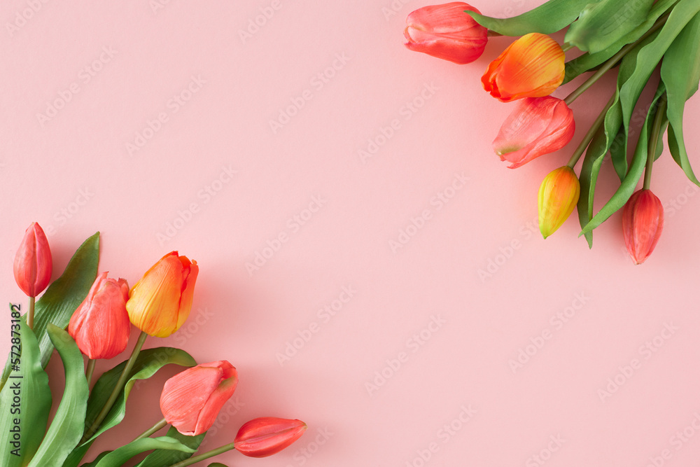 Spring concept. Flat lay photo of red and yellow tulips flowers on ...