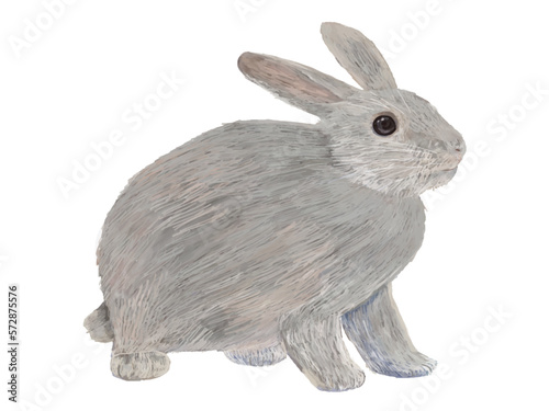 灰色うさぎ右向き_横
