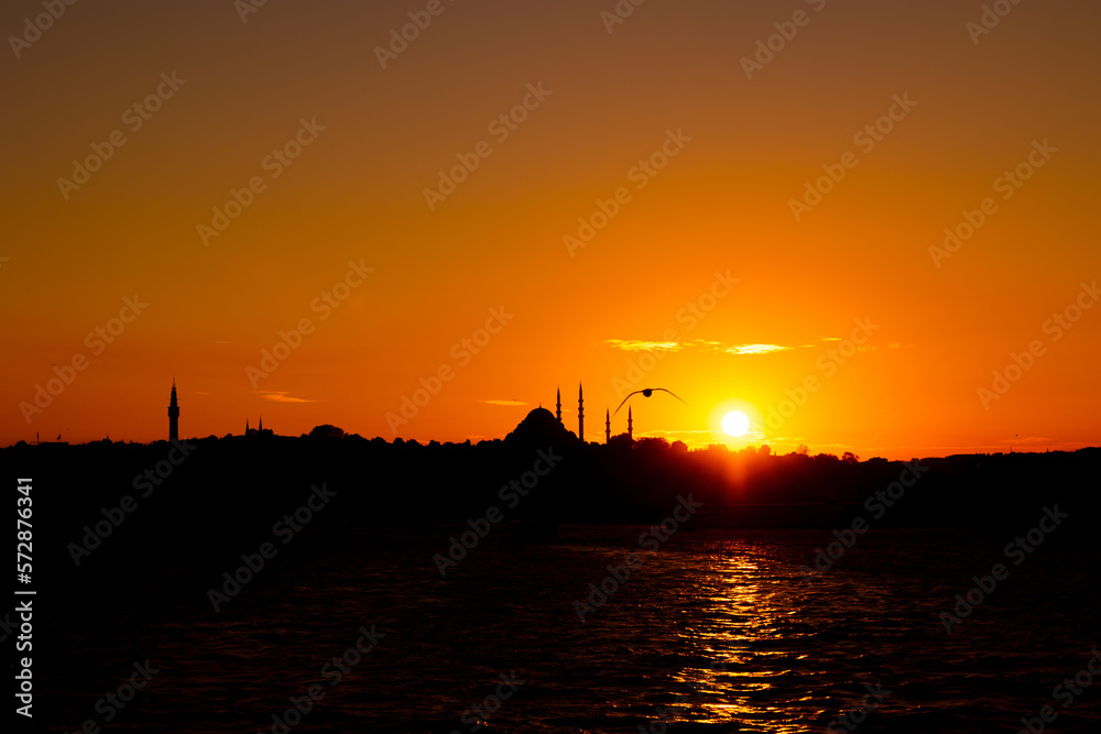 Silhouette of Istanbul. Seagull and mosque with sun.