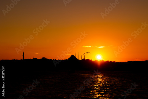 Silhouette of Istanbul. Seagull and mosque with sun.