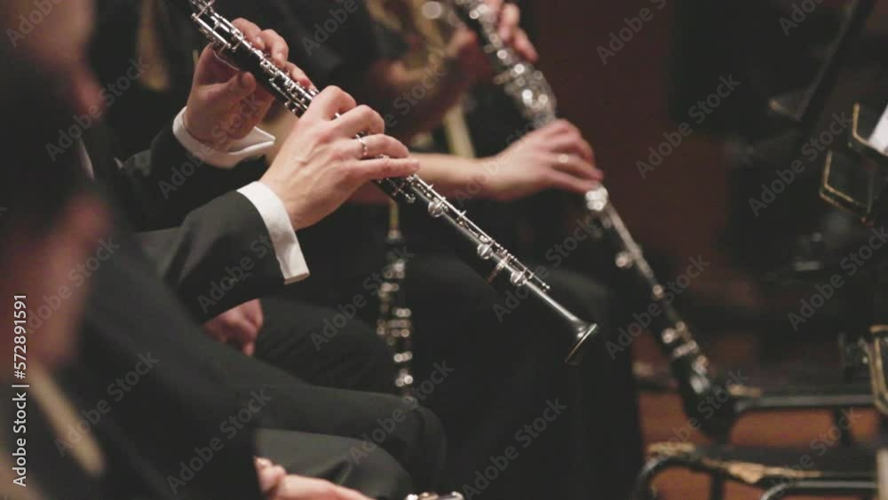An oboe player performing during a live classical symphony music concert