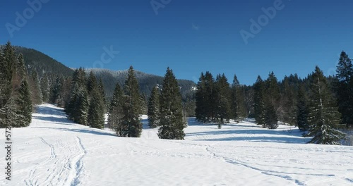 Schöne verschneite Landschaften der bayerischen Berge. Sutten-Alm zwischen Tannenwäldern und Wiesen am oberen Ende des Tals der Rottach richtung Valepp
 photo