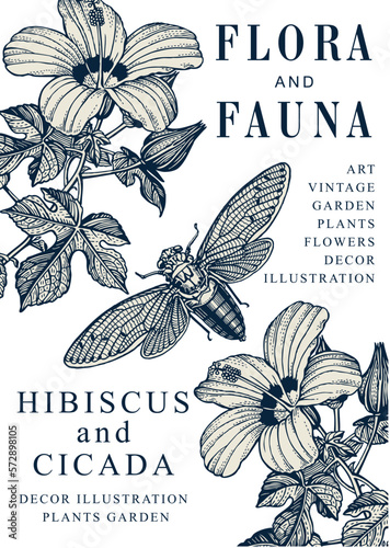 Hibiscus Cicada fly, mallow. Beautiful garden baroque blooming realistic flowers. Frame greeting invitation card label. Drawing engraving isolated. Flora fauna. Vintage vector victorian illustration