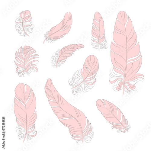 Set of silhouette isolated vector feathers