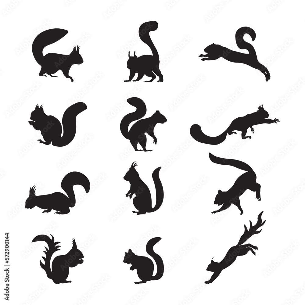 Fototapeta premium Set squirrel silhouette vector illustration.
